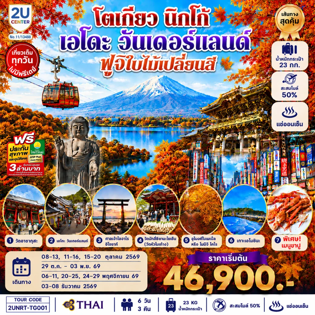 ทัวร์ญี่ปุ่น โตเกียว นิกโก้ เอโดะ วันเดอร์แลนด์ ฟูจิเปลี่ยนสี 6วัน 3คืน (TG)
